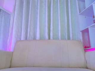 stormsnow webcam model stream image