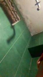 Yovvng_Poringa webcam model stream image