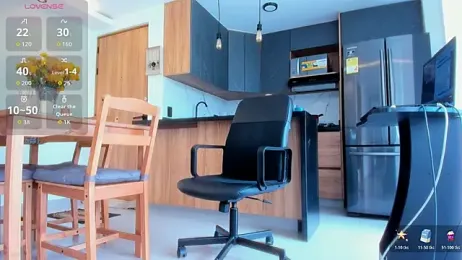 fitnolan webcam model stream image