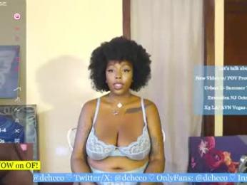 dchcco webcam model stream image