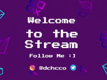 dchcco webcam model stream image