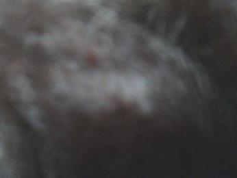 LADYQUEEN520 webcam model stream image