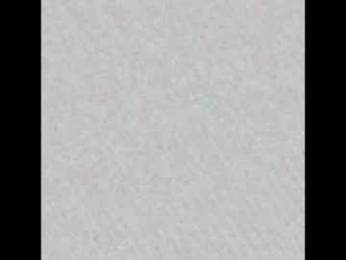 charlotte_germanotta_ webcam chaturbate model stream image