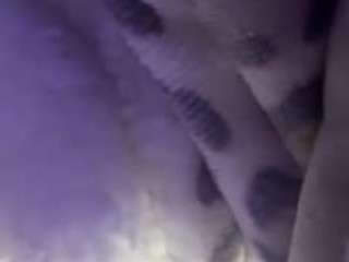 mlfoo webcam model stream image