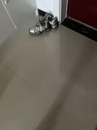 AIone_se webcam model stream image