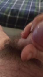 terrone46 webcam model stream image