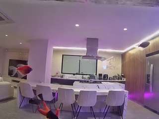 voyeurcam-casa-salsa-fishtank webcam model stream image