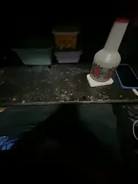 SeuGuarda2001 webcam model stream image