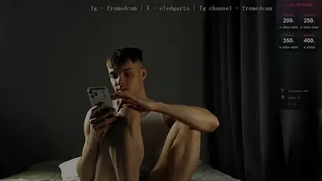 fromed webcam model stream image