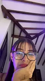 Arilw webcam model stream image