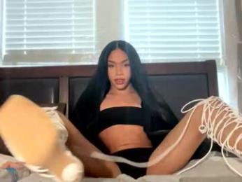 dynasty313 webcam chaturbate model stream image