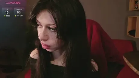 devvilss_toy webcam model stream image