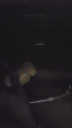 spanishboy2001 webcam model stream image