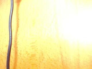 Dhante Hard webcam model stream image