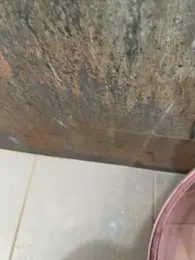 dickmaster8782 webcam model stream image