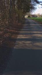 jan37 webcam model stream image