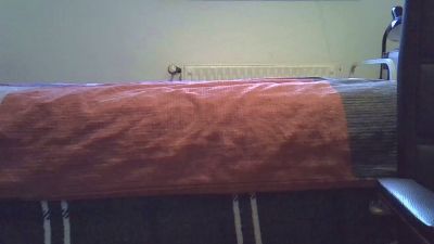 ingo1988 webcam model stream image