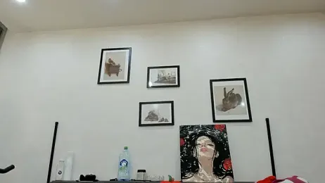 dolly_ll webcam model stream image