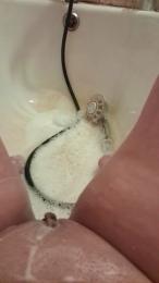 Bellelea webcam model stream image