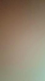 Mikols webcam model stream image