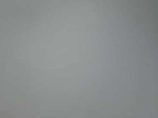 theonesesh webcam model stream image