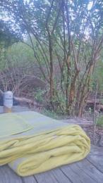 Ampallang6 webcam model stream image