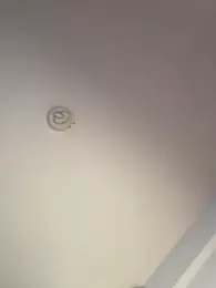 Andrestarr webcam model stream image