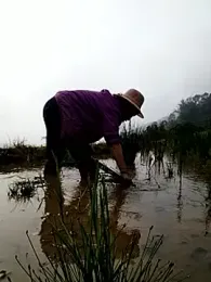 Tina-beo webcam model stream image