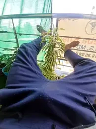 ThickDickRider webcam model stream image