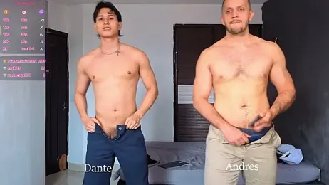 TeddyBear_07 webcam model stream image