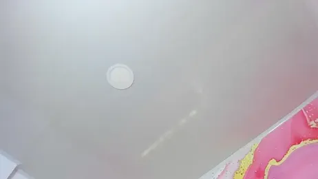 Daisy__rose webcam model stream image
