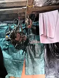 lamejorpene webcam model stream image