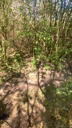 Joueurh webcam cam4 model stream image