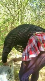 Joueurh webcam cam4 model stream image