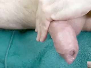 br-munch webcam camsoda model stream image