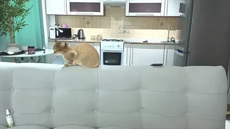 margolisa webcam stripchat model stream image