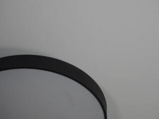 Daisey Jarvie webcam model stream image
