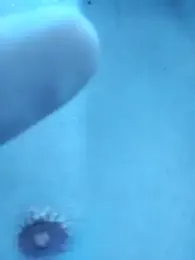 whitesouth webcam model stream image