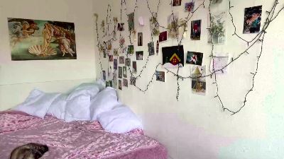 ShonnaDollison webcam model stream image