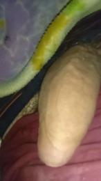 dotatosalern webcam model stream image