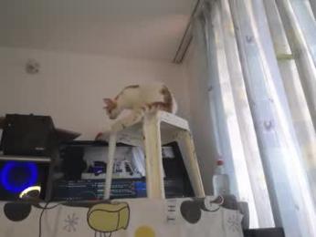 eolicasextwo webcam model stream image