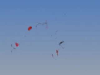 carmensindiego webcam model stream image