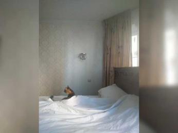 MonaMonako webcam model stream image