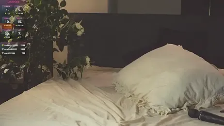 SanySenise webcam model stream image