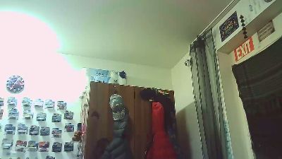 wien440 webcam model stream image
