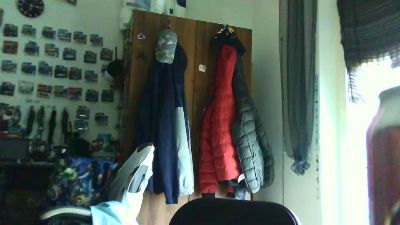 wien440 webcam model stream image
