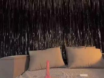 lallebi webcam model stream image