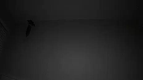 Kinkster615 webcam model stream image
