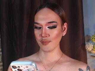 Sabrinah Carpenter webcam model stream image