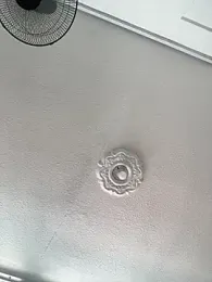 AlphaMasterXxx webcam model stream image